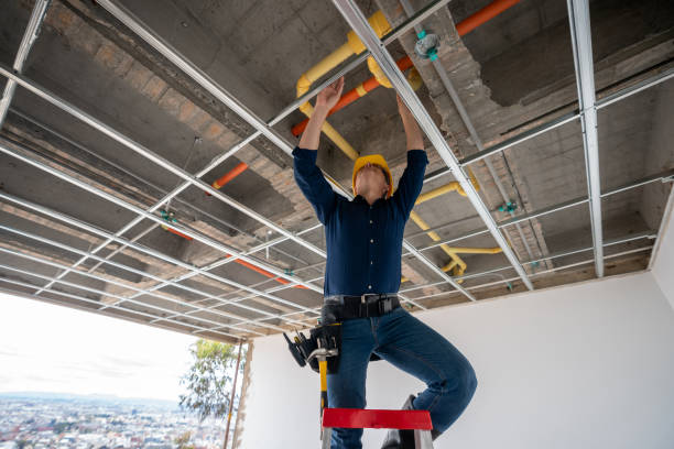 Best Best Plumbers Near Me  in Pioneer, OH