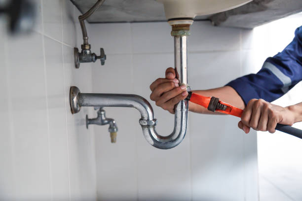 Best Clogged Drain Plumber  in Pioneer, OH